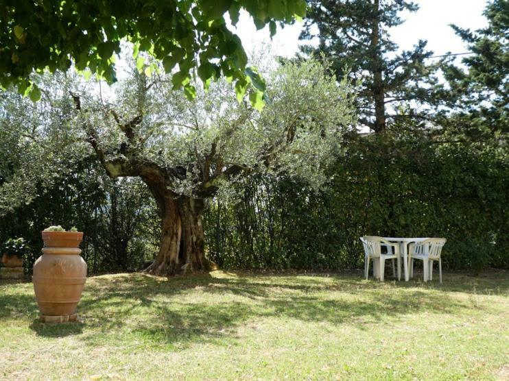 Casa Giuliana Apartman Chiusi Kültér fotó